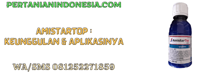 amistartop,amistar top,amistar top 325 sc,fungisida,pestisida,pertanian indonesia
